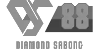 Payfix logo