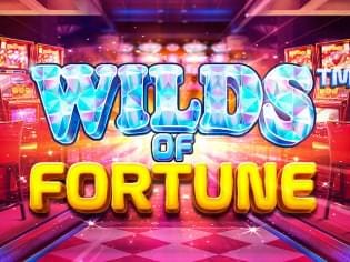 Wilds Of Fortune screenshot